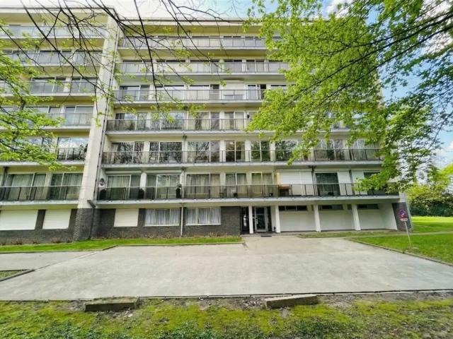 Kot vente à Liège, Wallonie