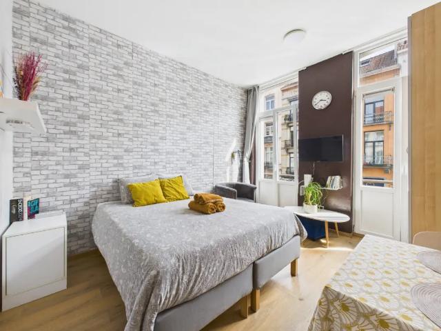 Kot vente à Anderlecht, Bruxelles