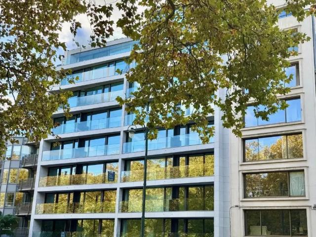 Kot vente à Brussel, Bruxelles