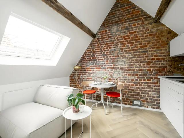 Kot vente à Brussel, Bruxelles