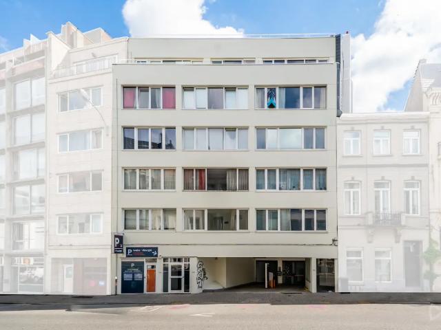 Kot vente à Bruxelles - Brussel