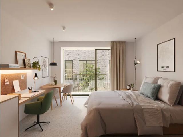 Kot vente à Brussel, Bruxelles