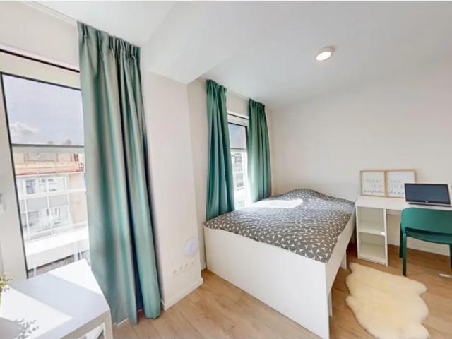 Kot vente à Brussel, Bruxelles