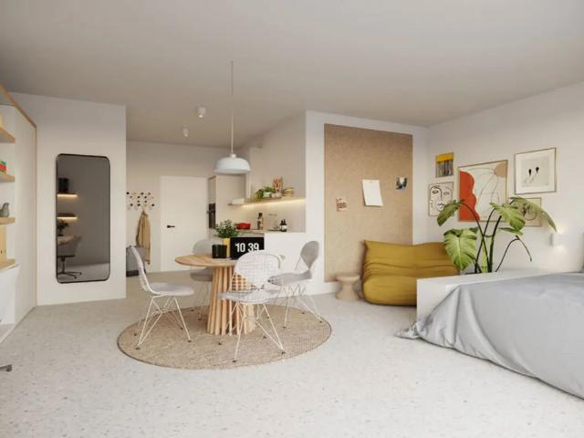 Kot vente à Brussel, Bruxelles