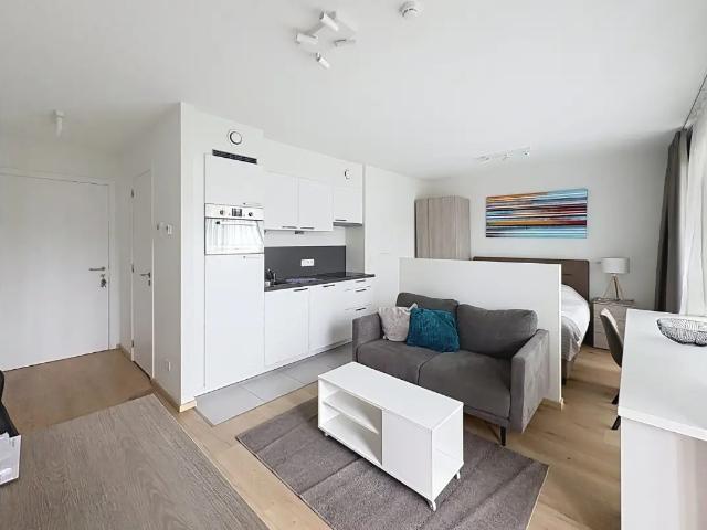 Kot vente à Brussel, Bruxelles