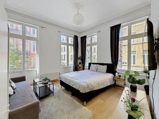 Kot vente à Brussel, Bruxelles