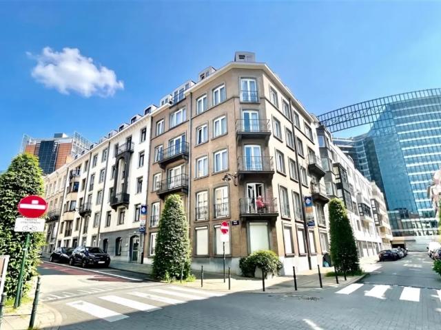 Kot vente à Brussel, Bruxelles