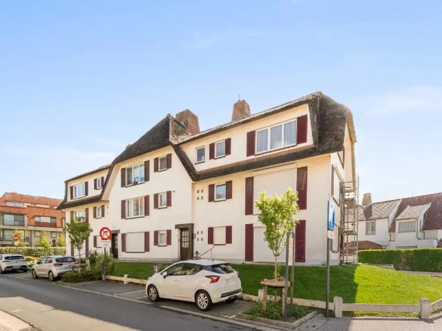 Kot vente à De Panne, West-Vlaanderen