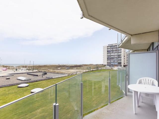 Kot vente à De Panne, West-Vlaanderen