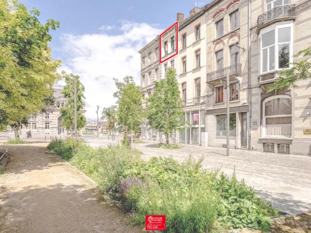 Kot vente à Brunehaut, Wallonie