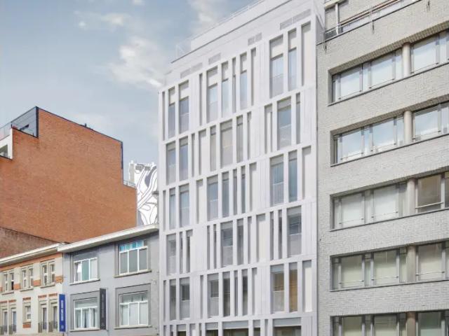 Kot vente à Brussel, Bruxelles