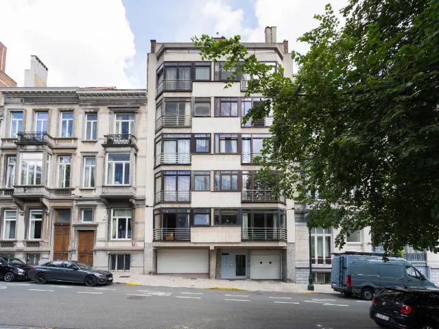 Kot vente à Brussel, Bruxelles