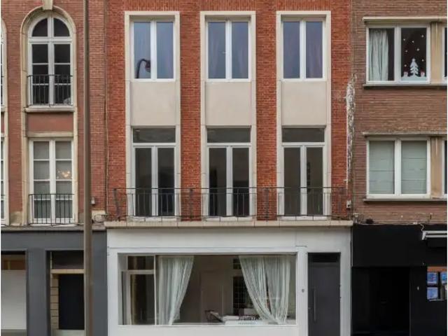 Kot vente à Elsene, Bruxelles