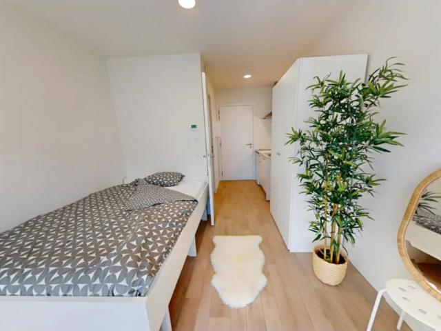 Kot vente à Brussel, Bruxelles