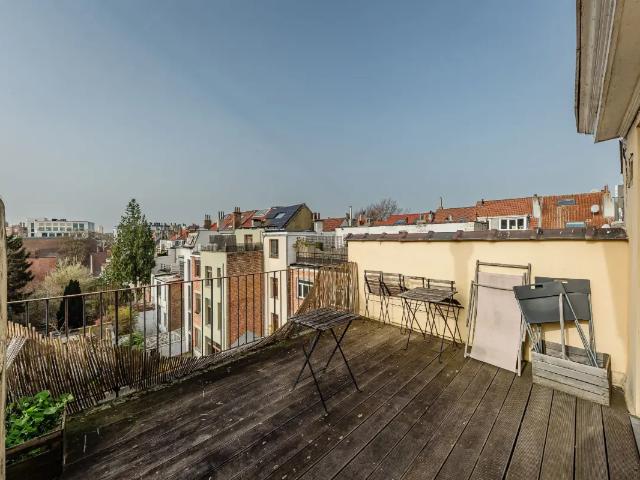 Kot vente à Elsene, Bruxelles