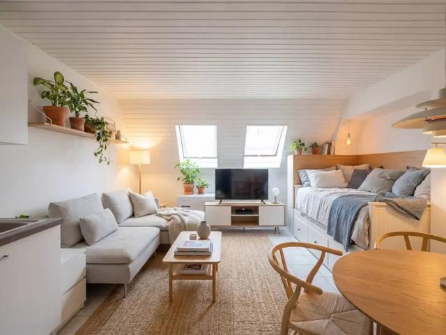 Kot vente à Desteldonk, Oost-Vlaanderen