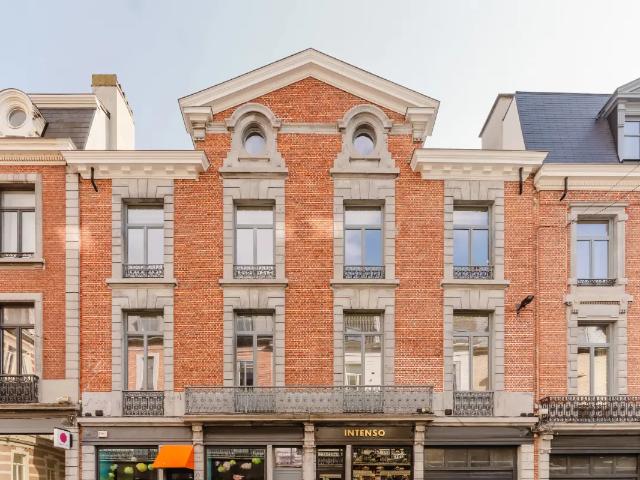 Kot vente à Desteldonk, Oost-Vlaanderen