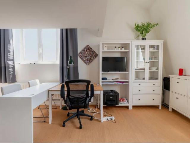 Kot vente à Desteldonk, Oost-Vlaanderen