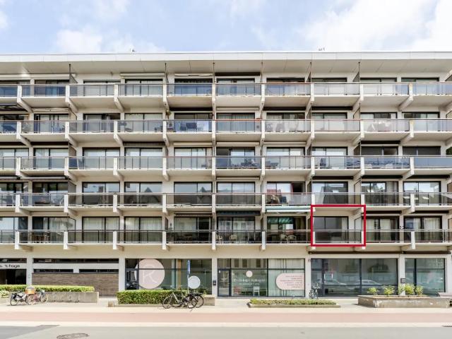 Kot vente à Coxyde, West-Vlaanderen