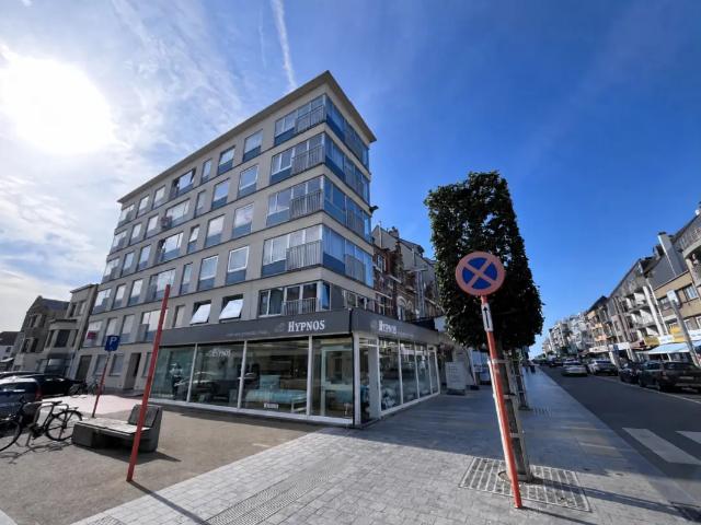 Kot vente à Coxyde, West-Vlaanderen