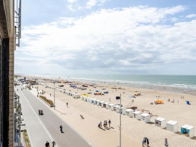 Kot vente à Nieuwpoort, West-Vlaanderen
