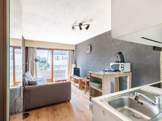 Kot vente à Coxyde, West-Vlaanderen