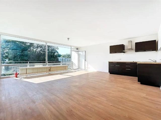 Kot vente à Laken, Bruxelles