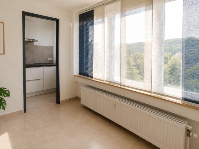 Kot vente à Liège, Wallonie