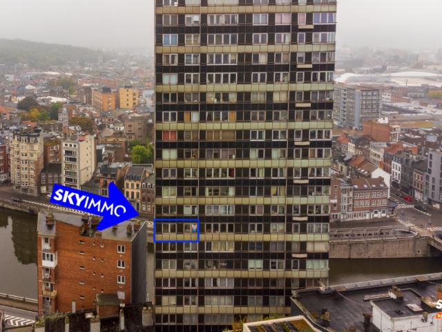 Kot vente à Liège, Wallonie