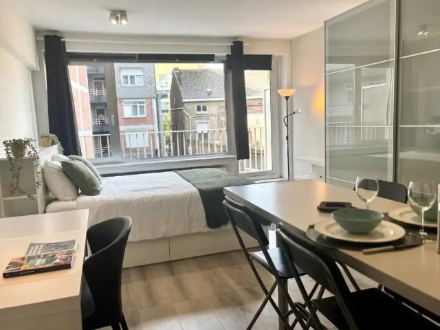 Kot vente à Liège, Wallonie
