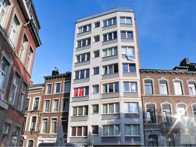Kot vente à Liège, Wallonie