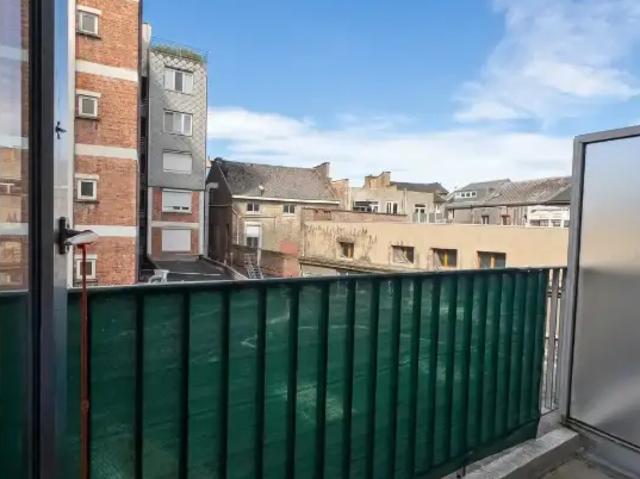 Kot vente à Liège, Wallonie