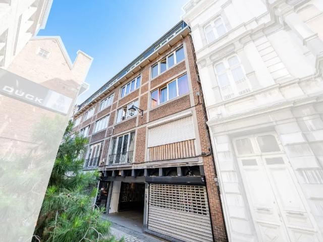 Kot vente à Liège, Wallonie