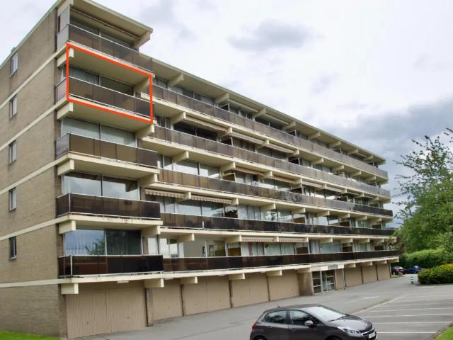 Kot vente à Liège, Wallonie