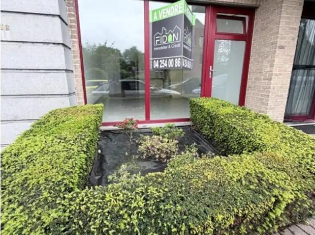 Kot vente à Liège, Wallonie