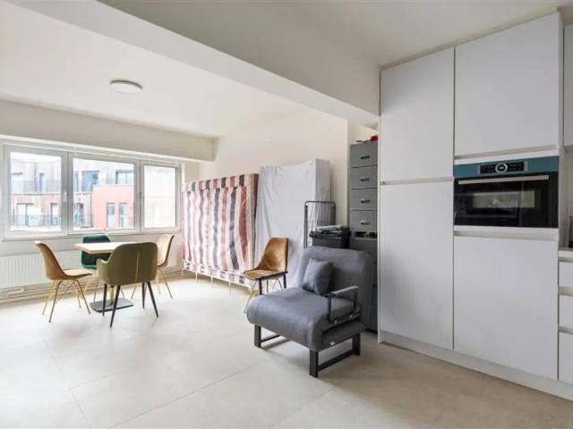 Kot vente à Mechelen, Antwerpen