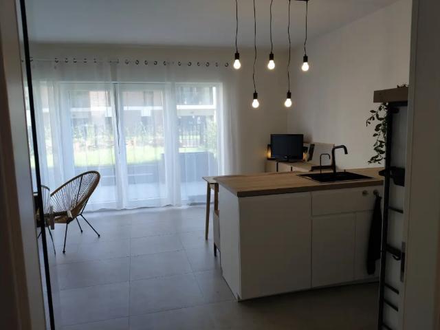 Kot vente à Namen, Wallonie