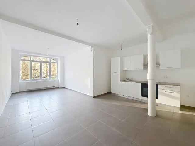 Kot vente à Schaarbeek, Bruxelles