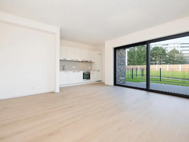 Kot vente à Berchem, Bruxelles