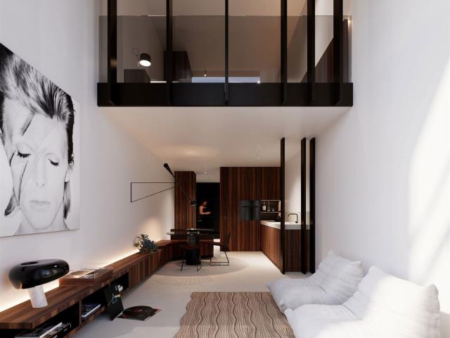 Kot vente à Molem, Bruxelles