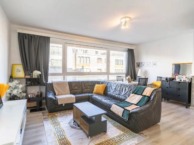 Kot vente à Molem, Bruxelles