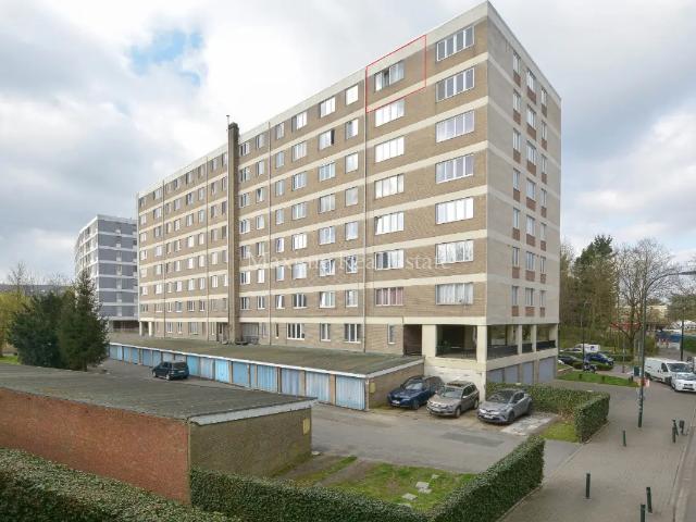 Kot vente à Sint-pieters-woluwe, Bruxelles