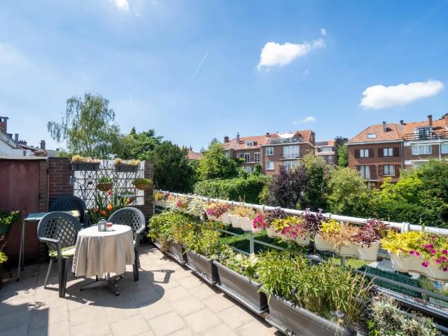 Kot vente à Chant d'Oiseau - Vogelzang, Woluwe-Saint-Pierre - Sint-Pieters-Woluwe