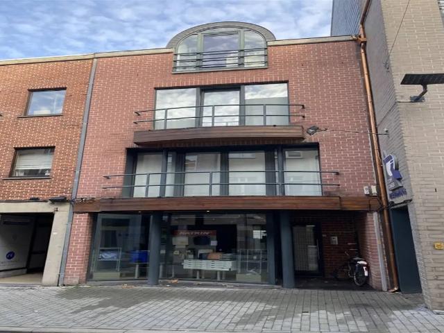 Kot vente à Gelinden, Limburg