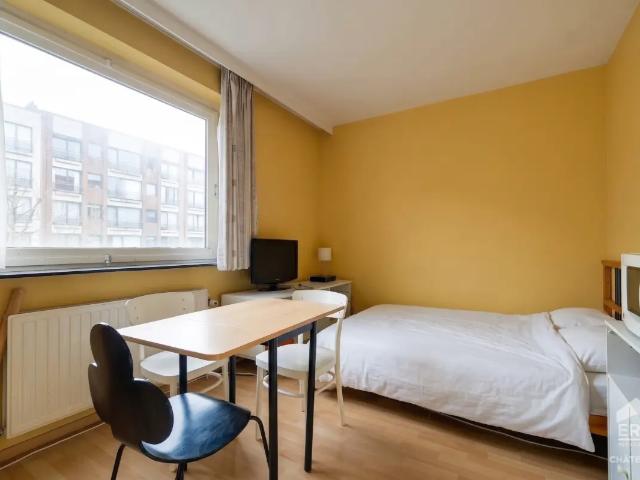 Kot vente à Uccle, Bruxelles