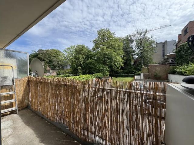 Kot vente à Uccle, Bruxelles