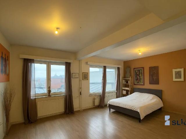 Kot vente à Vorst, Bruxelles