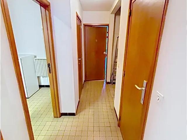 Kot vente à Vorst, Bruxelles