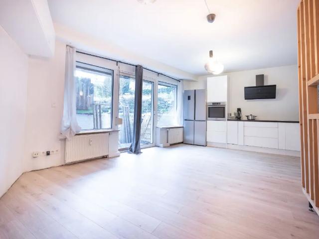 Kot vente à Vorst, Bruxelles