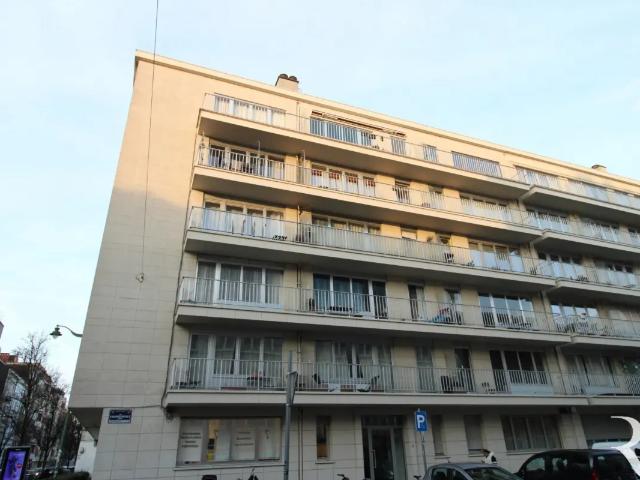 Kot vente à Vorst, Bruxelles